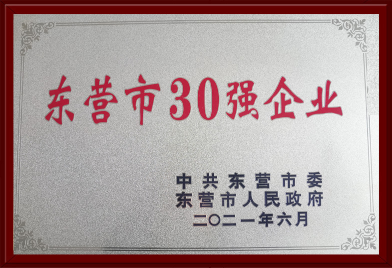 東營(yíng)市30強(qiáng)企業(yè)